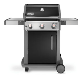Spirit E-310
